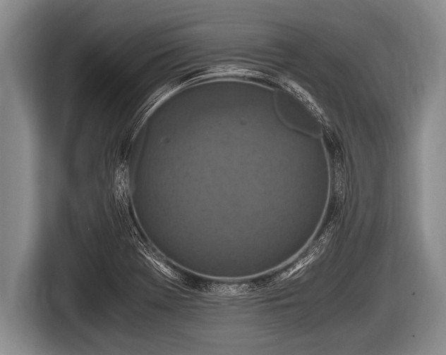 X0000116801369200912241153