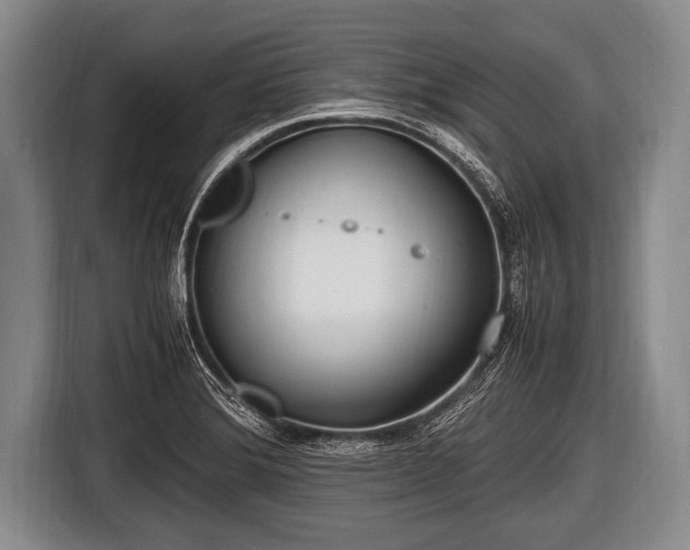 X0000116801372200912241153