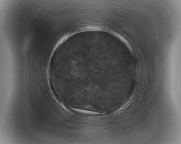 X0000116801373200912241153