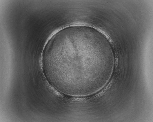 X0000116801374200912241153