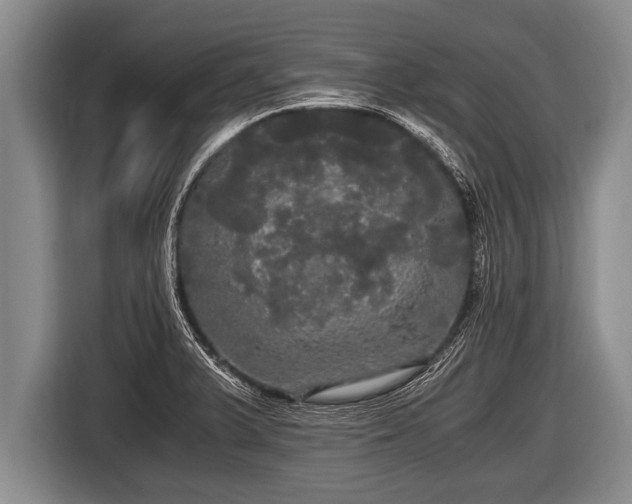 X0000116801375200912241153