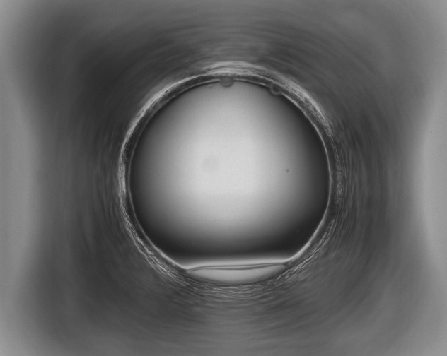 X0000116801376200912241153