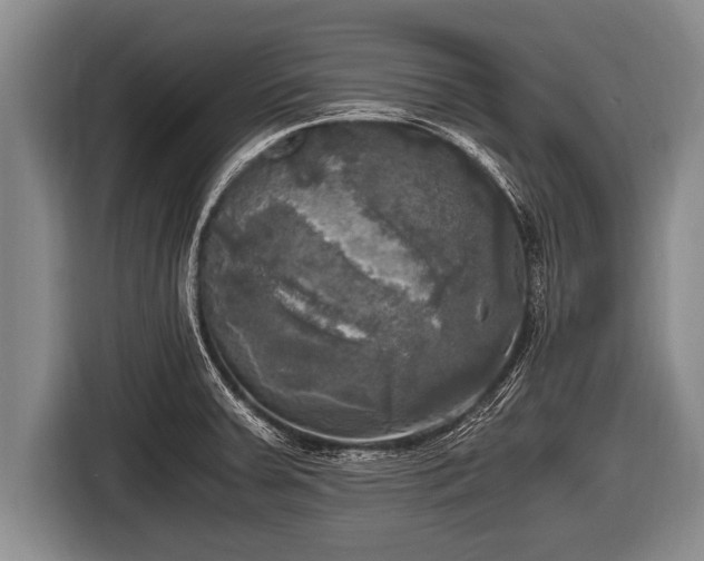 X0000116801379200912241153