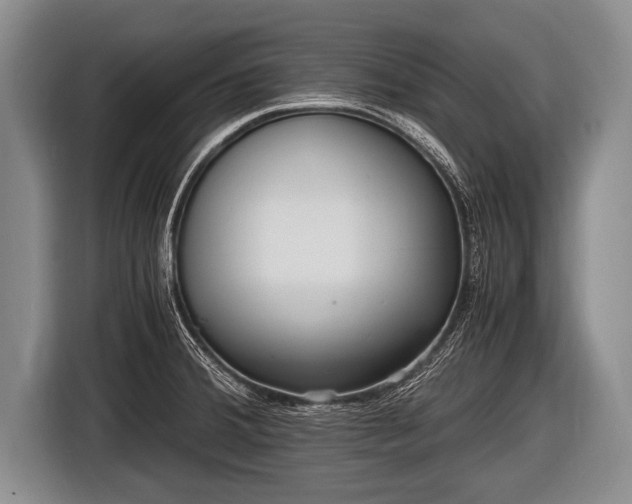 X0000116801380200912241153