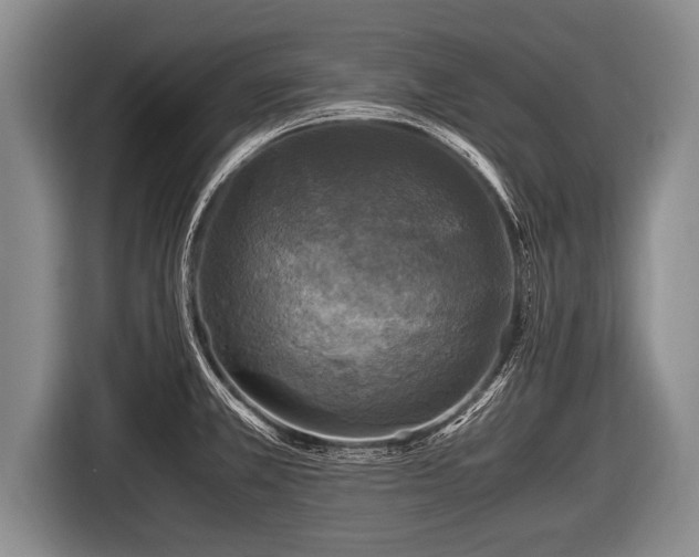 X0000116801381200912241153