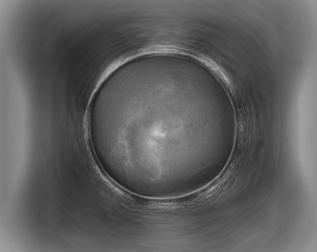 X0000116801382200912241153