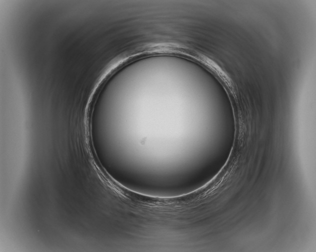 X0000116801384200912241153