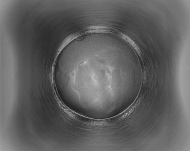 X0000116801386200912241152