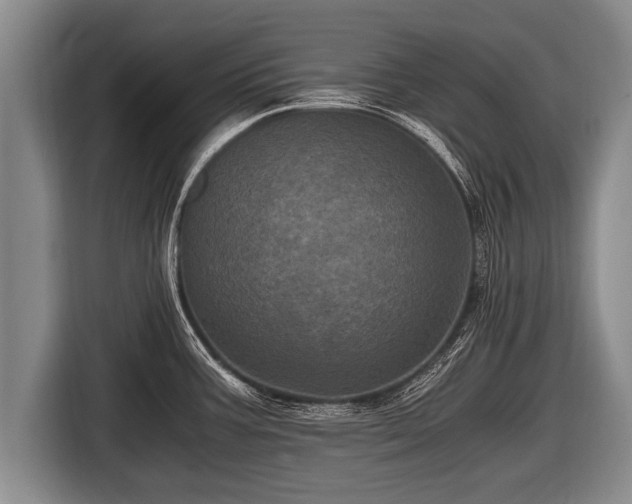 X0000116801387200912241152