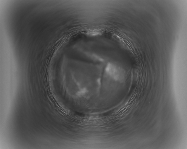 X0000116801393200912241152