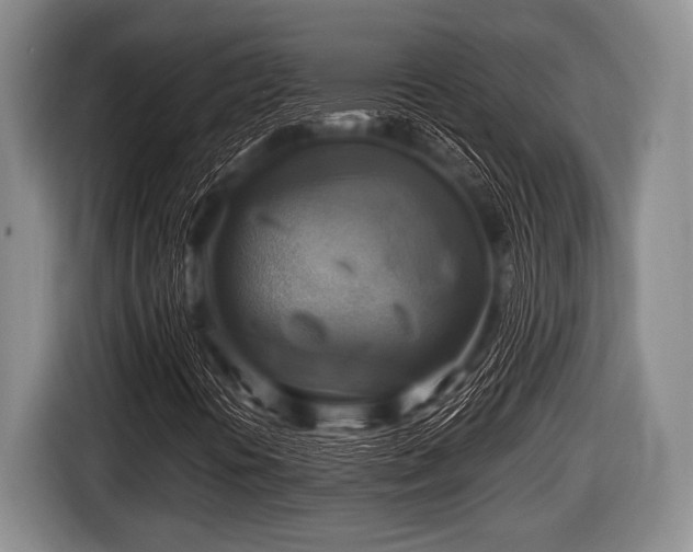 X0000116801394200912241152