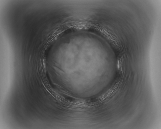 X0000116801396200912241152