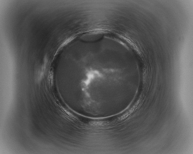 X0000116801402200912241152