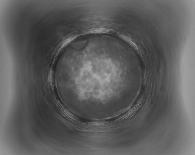 X0000116801404200912241152