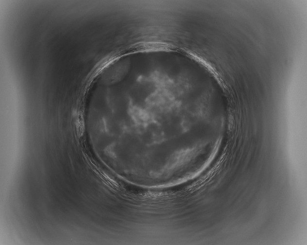 X0000116801407200912241152