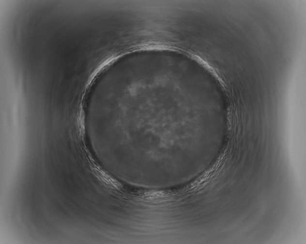 X0000116801408200912241152