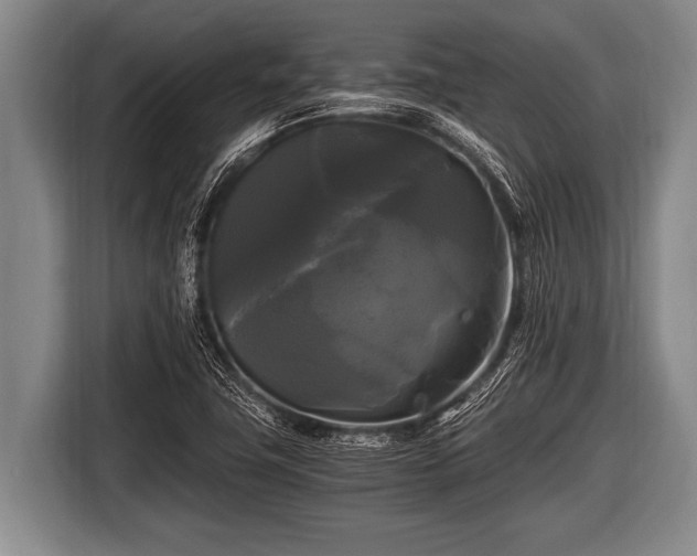 X0000116801411200912241152