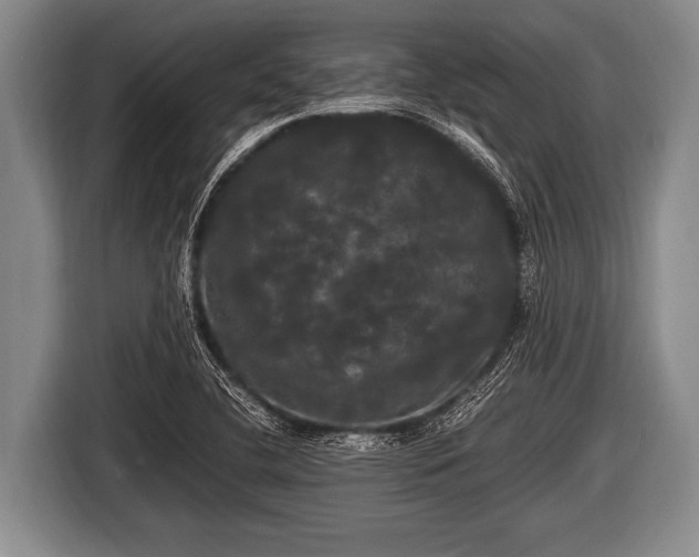 X0000116801412200912241152