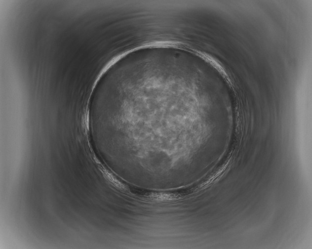 X0000116801420200912241152