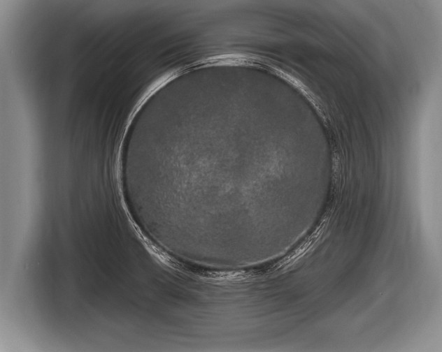 X0000116801426200912241152