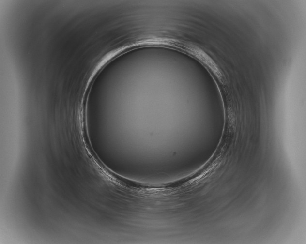 X0000116801428200912241152