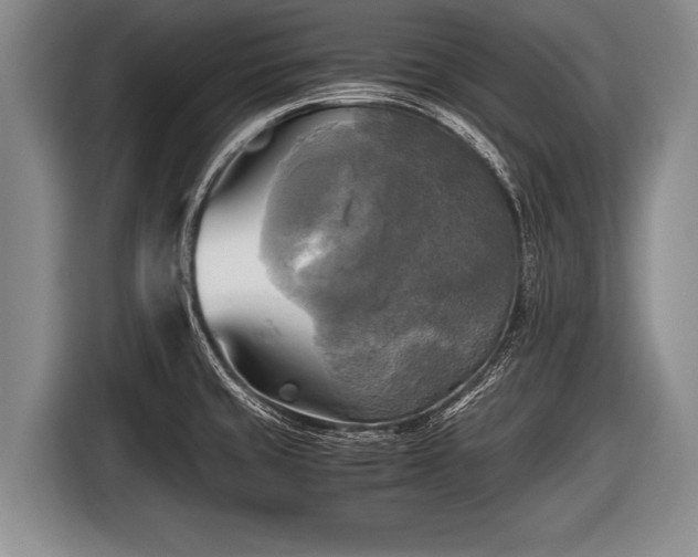 X0000116801429200912241152