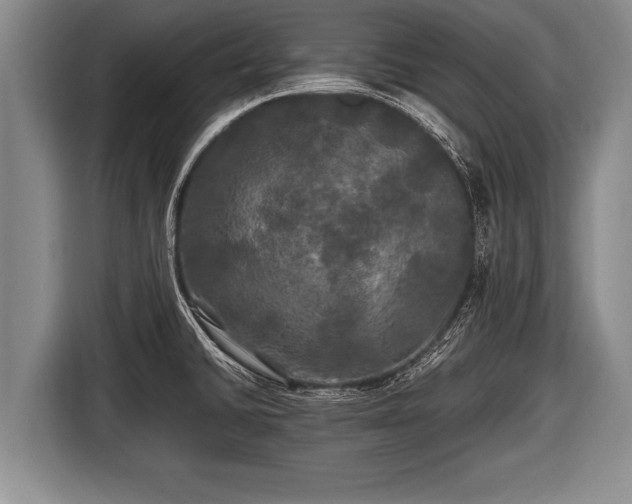 X0000116801430200912241152