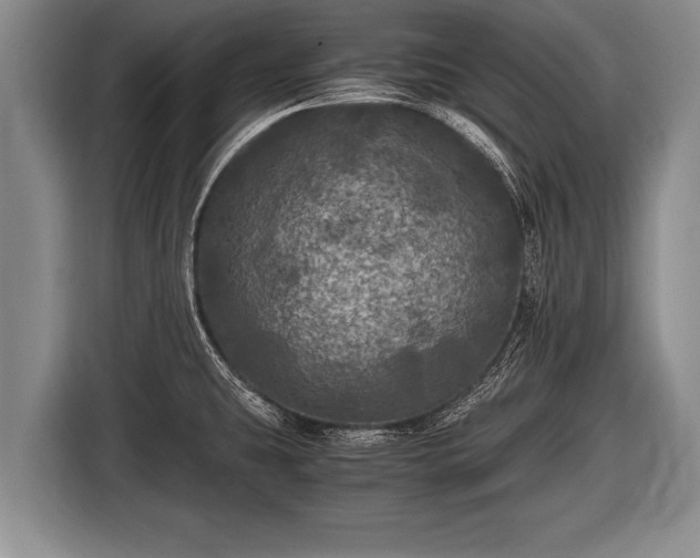 X0000116801431200912241152