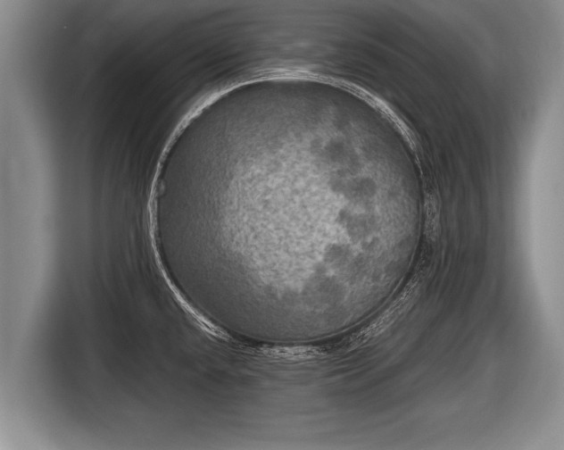 X0000116801432200912241152