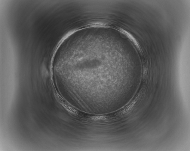 X0000116801435200912241152