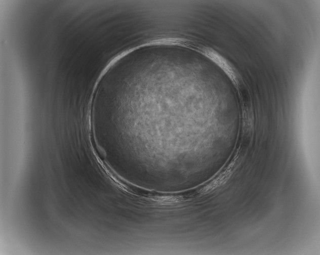 X0000116801436200912241152