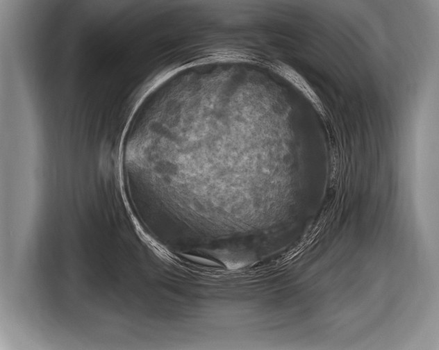 X0000116801439200912241152