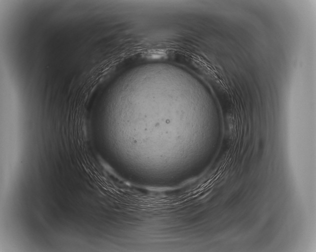 X0000116801442200912241152