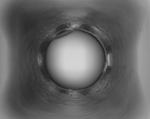 X0000116801443200912241152