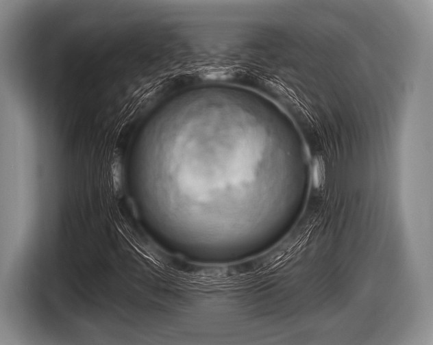 X0000116801444200912241152