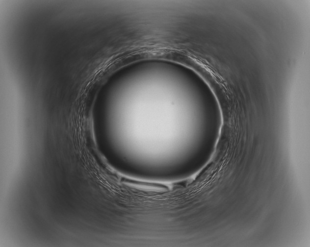 X0000116801447200912241152