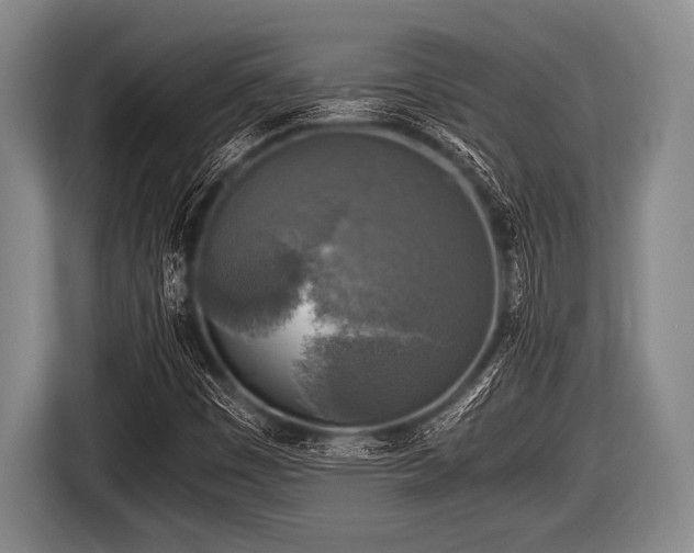 X0000116801449200912241152