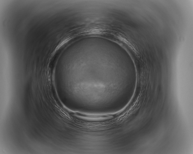 X0000116801450200912241152