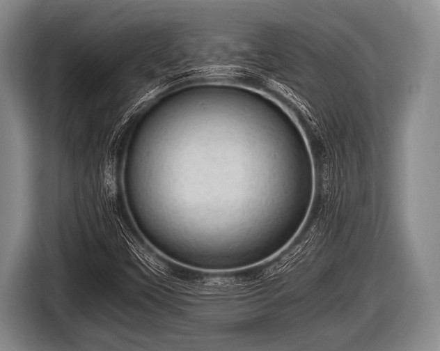 X0000116801451200912241152