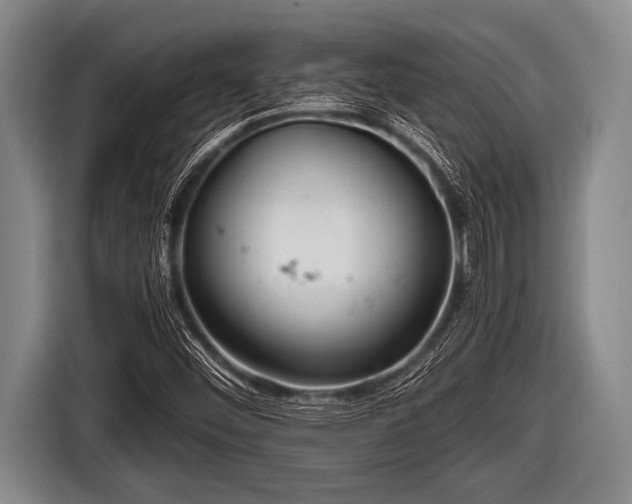 X0000116801452200912241152