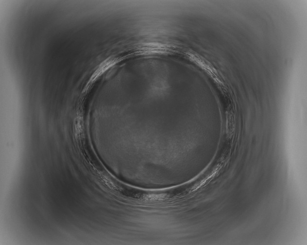 X0000116801453200912241152