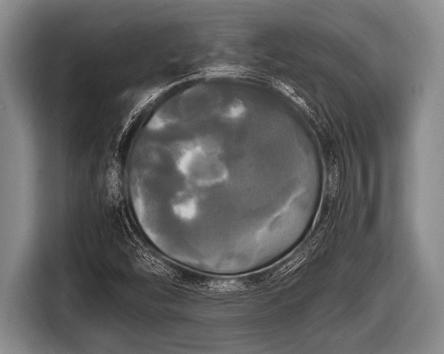 X0000116801454200912241152