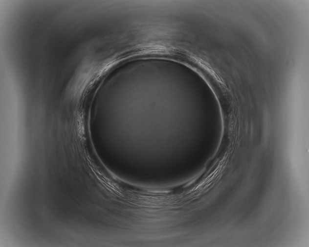 X0000116801455200912241152