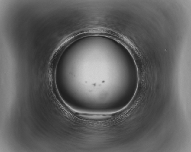 X0000116801456200912241152