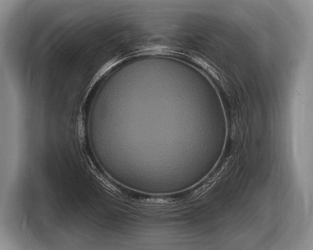 X0000116801458200912241152