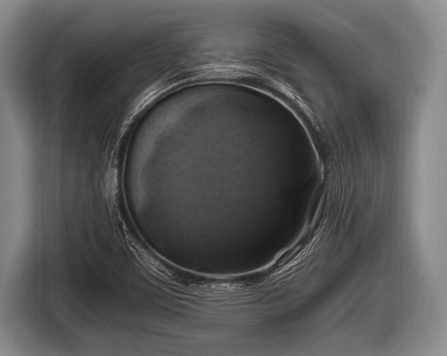 X0000116801459200912241152