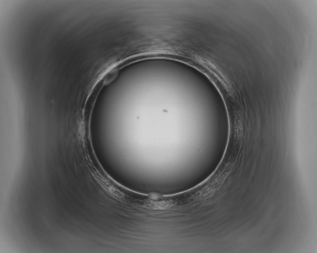 X0000116801460200912241152