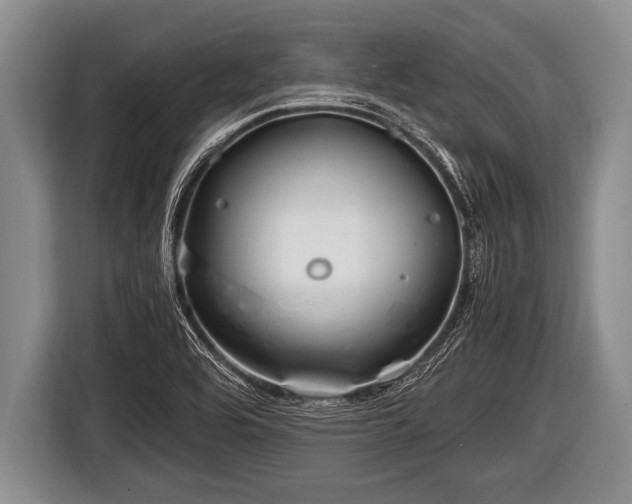 X0000116801464200912241151