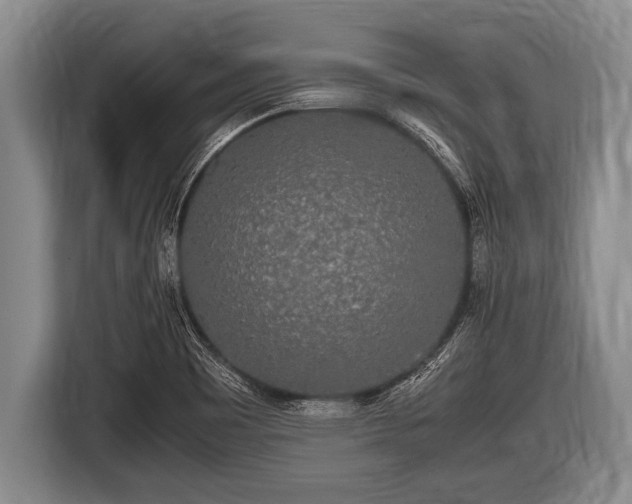 X0000116801465200912241151