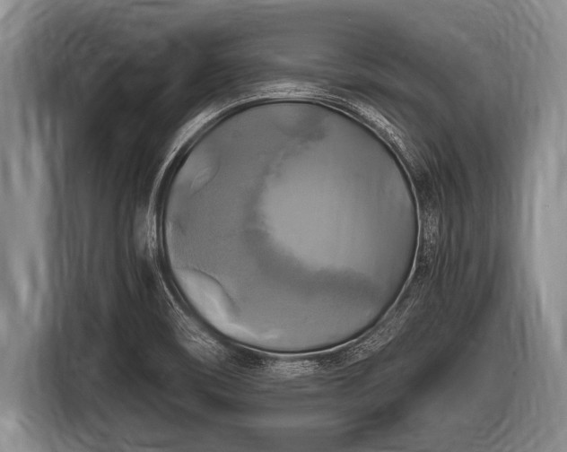 X0000116801466200912241151